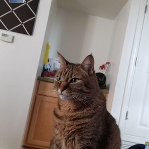 Meet your Posher, Tim